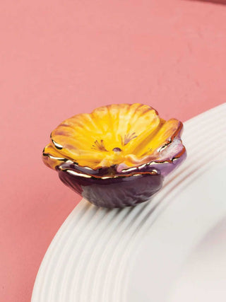 Pansy Pop Mini